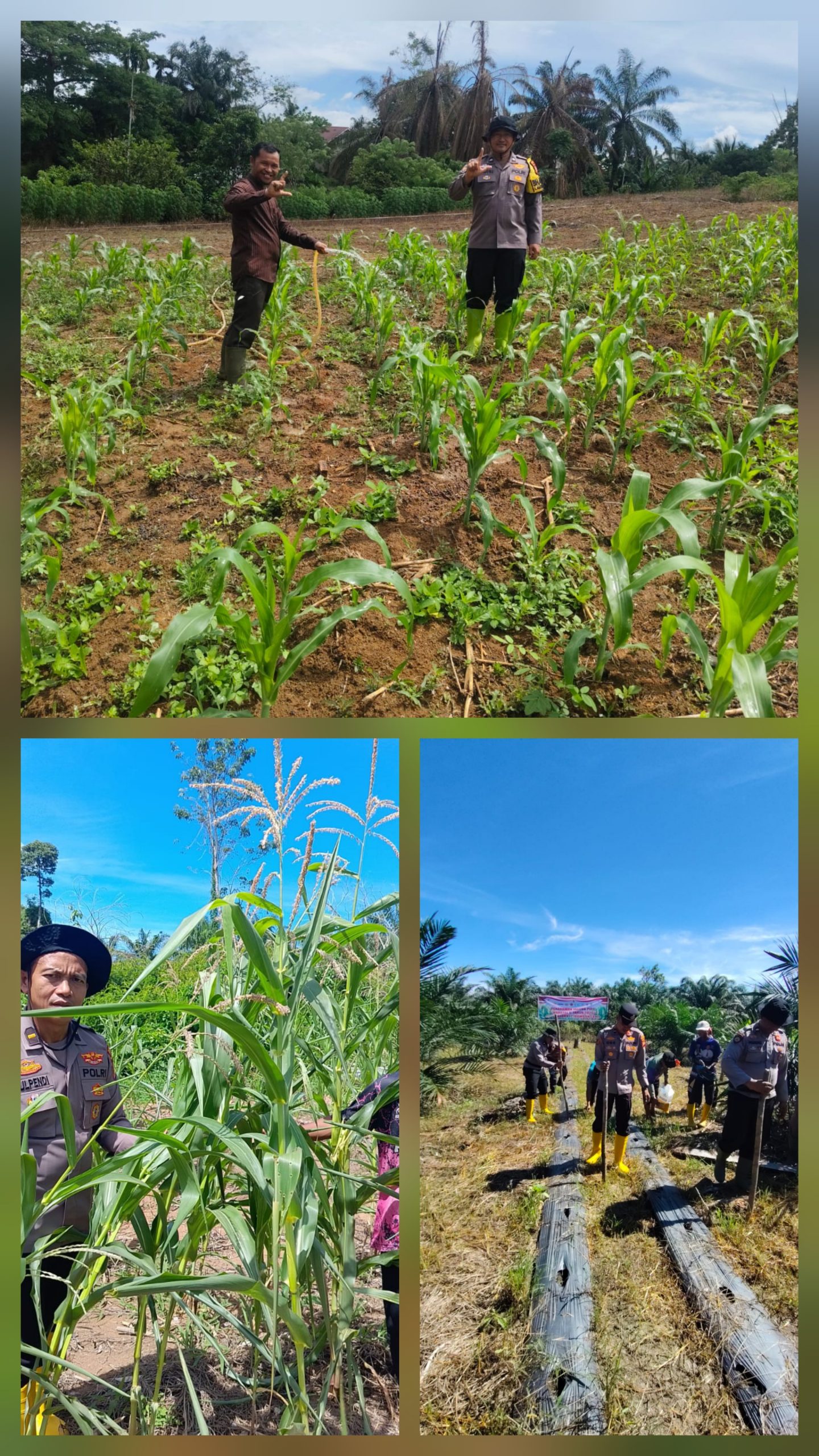 Kapolsek Ramso Perkuat Sinergitas dengan Petani untuk Ketahanan Pangan