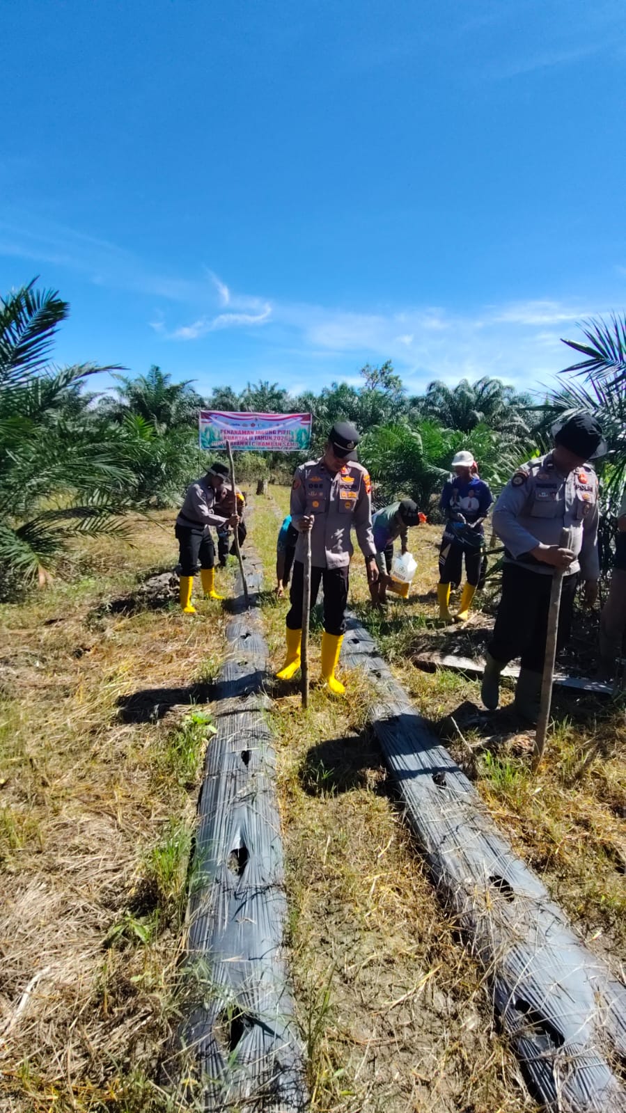 Ipda Sarlose Mesra : Meningkatkan Swasembada Pangan Butuh Kerjasama dengan Petani