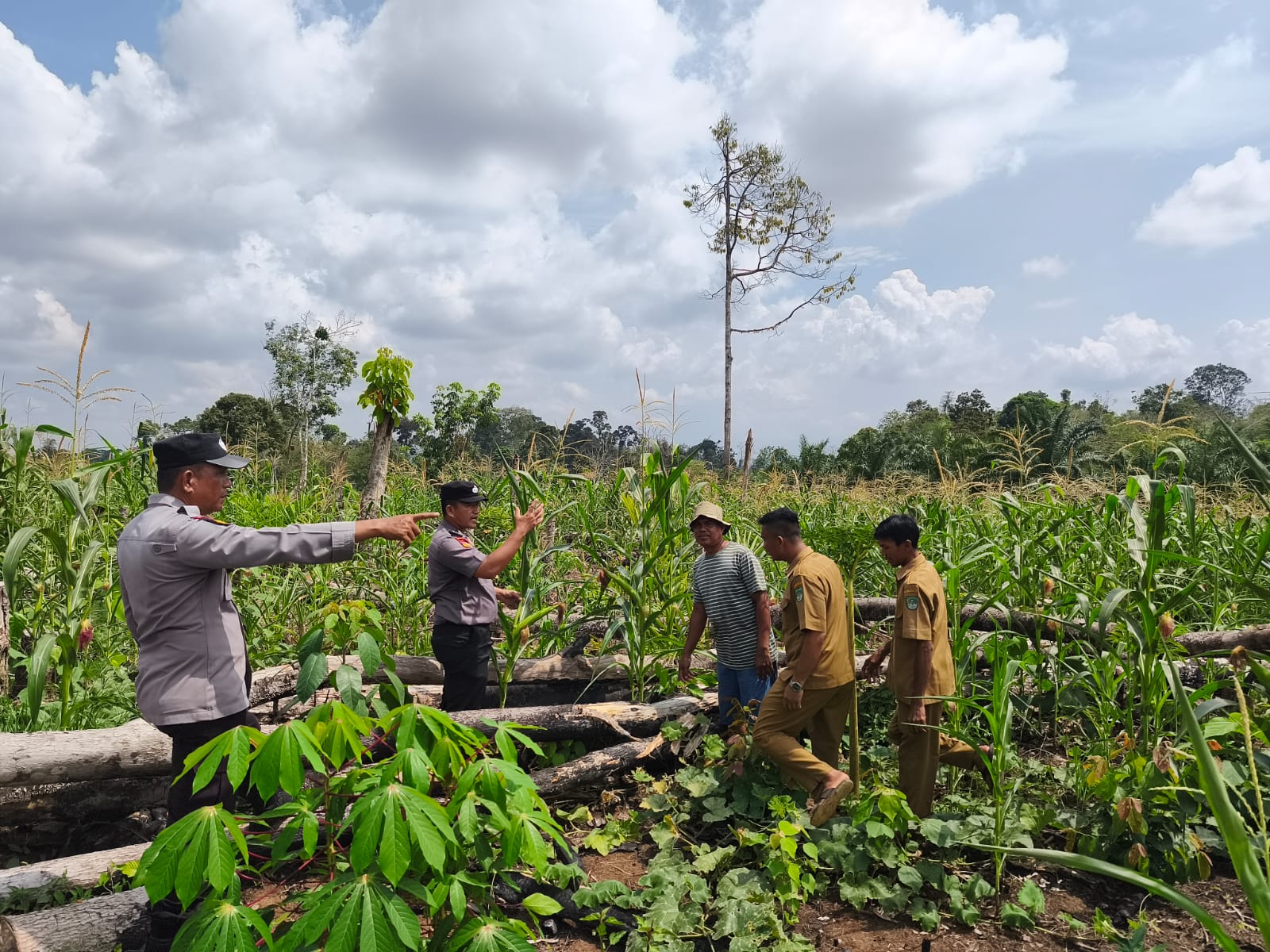 Prioritaskan Swasembada Polsek Rambah Samo Turun Hingga ke Hutan Rimba