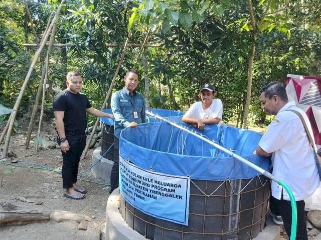 – Kolam Lele Keluarga, Inovasi DKP Jatim Perkuat Ketahanan Pangan & Ekonomi Warga